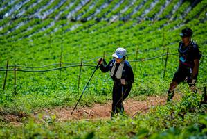 BIB: 
                            <button type="button" onclick="openModal(19164721)" class="btn btn-primary btn-sm float-right btn-popup" data-toggle="modal" data-target=".modal-high-quality">
                        <i class="fas fa-shopping-cart"></i> Add to Cart
                    </button>
                                            <button type="button" onclick="isThisMe(19164721, true)" class="btn btn-success btn-sm float-right btn-popup btn-isme hidden" data-toggle="tooltip" data-placement="bottom" title="นี่คือรูปของคุณใช่ไหม คลิกที่นี่เพื่อเอาเข้าอัลบั้ม">
                        <i class="fas fa-plus"></i> Add to album
                    </button>
                    <button type="button" onclick="isThisMe(19164721, false)" class="btn btn-warning btn-sm float-right btn-popup btn-isnotme hidden">
                        <i class="fas fa-ban"></i> Remove from album
                    </button>